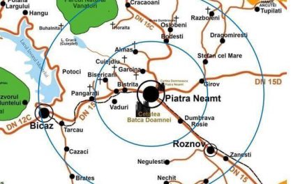Zona Metropolitană Piatra-Neamț