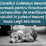 Consiliul Județean Neamț lucrează pentru finanțarea campaniilor de sterilizare gratuită
